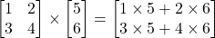 \begin{bmatrix} 1 & 2 \\  3 & 4  \end{bmatrix}\times \begin{bmatrix} 5  \\  6 \end{bmatrix}= \begin{bmatrix} 1\times 5 + 2\times 6  \\  3\times 5 + 4\times 6  \end{bmatrix}